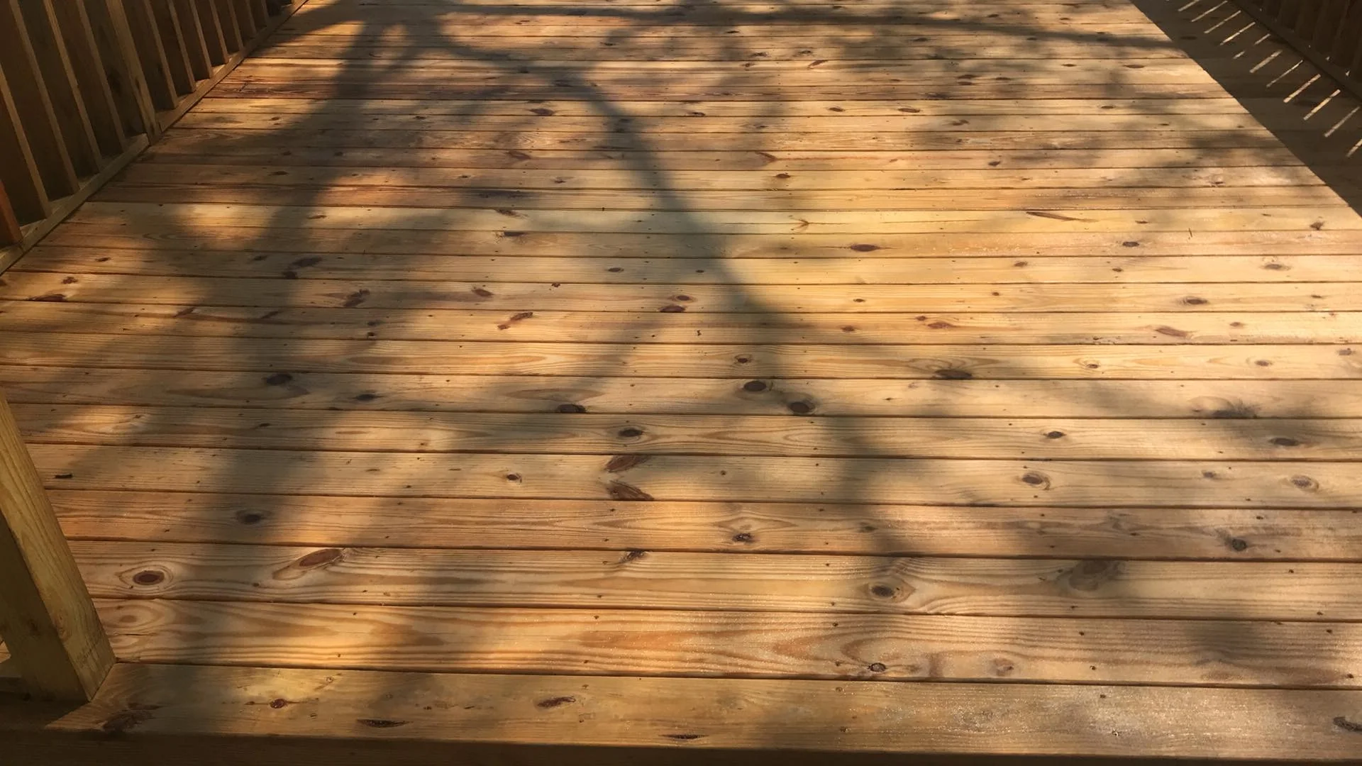 EXPERT Eco Cleaner - 100% Sodium Percarbonate | Step 1 Safe Oxygenated Wood Bleach - Image 5
